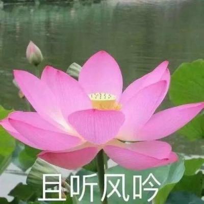 北京：“画如江山 妙笔丹青”何镇强艺术精品展开幕